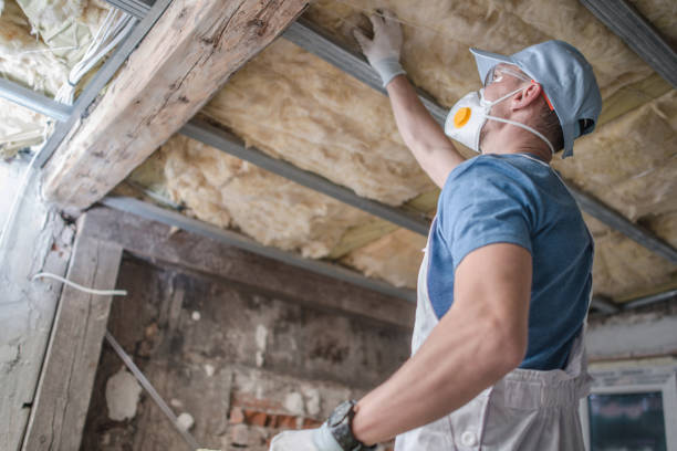 Best Fiberglass Insulation in Artesia, NM